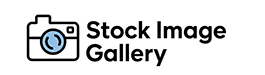 Stock Image Gallery – Unlimited, Free Stock Photos